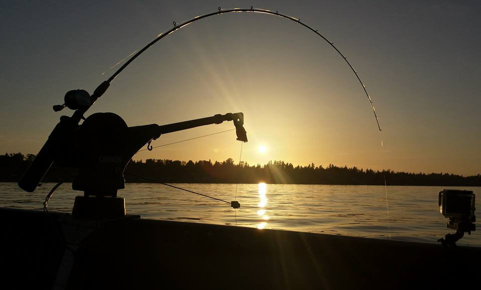 Holy Moly Weekly Report April 10th 2016: Steelhead, Blackmouth, Kokanee Oh My!