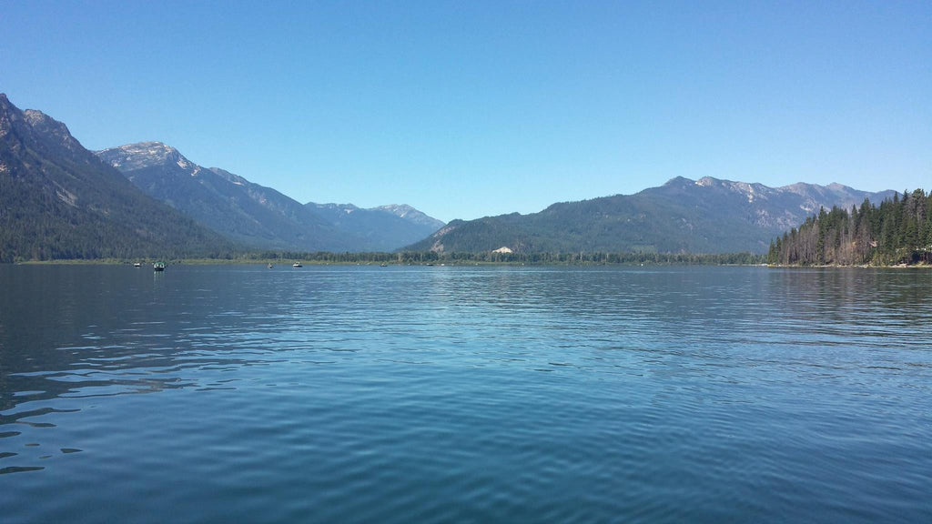 Weekly Holy Moly Report July 31st: Lake Wenatchee Sockeye