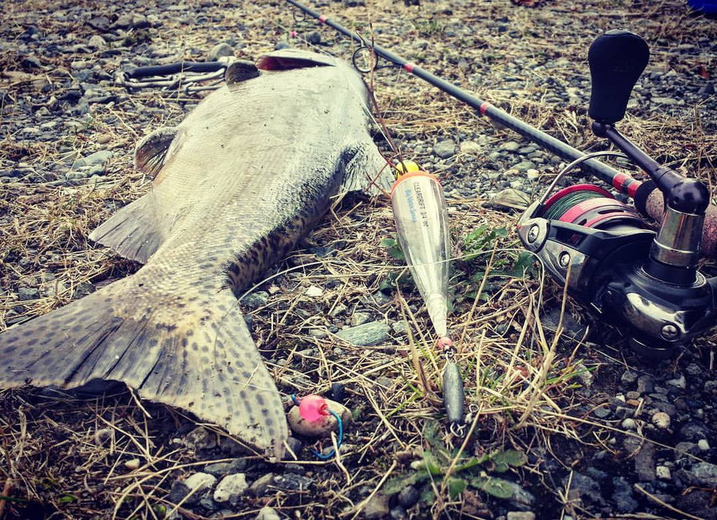 Holy Moly Outdoors: Fall Salmon in full swing