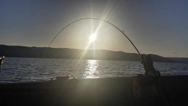 Holy Moly Weekly Report April 4th 2016: Lake Stevens Early Kokanee – Holy  Moly Outdoors