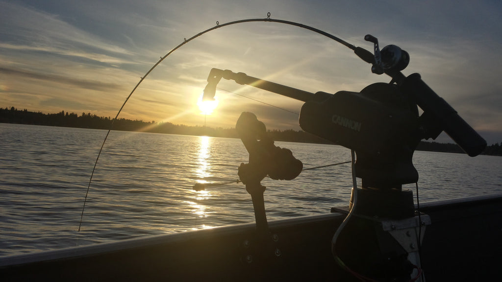 Weekly Holy Moly Report May 11-12th 2016: Lake Stevens Kokanee