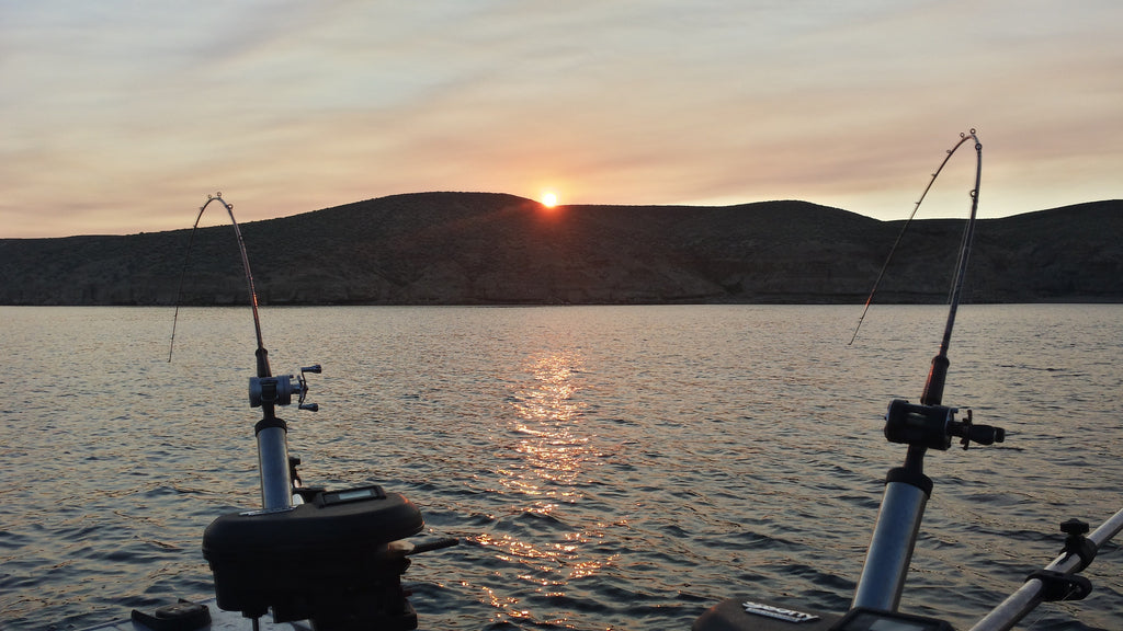 Weekly Holy Moly Report 4th of July 2016: Flaming Gorge Kokanee