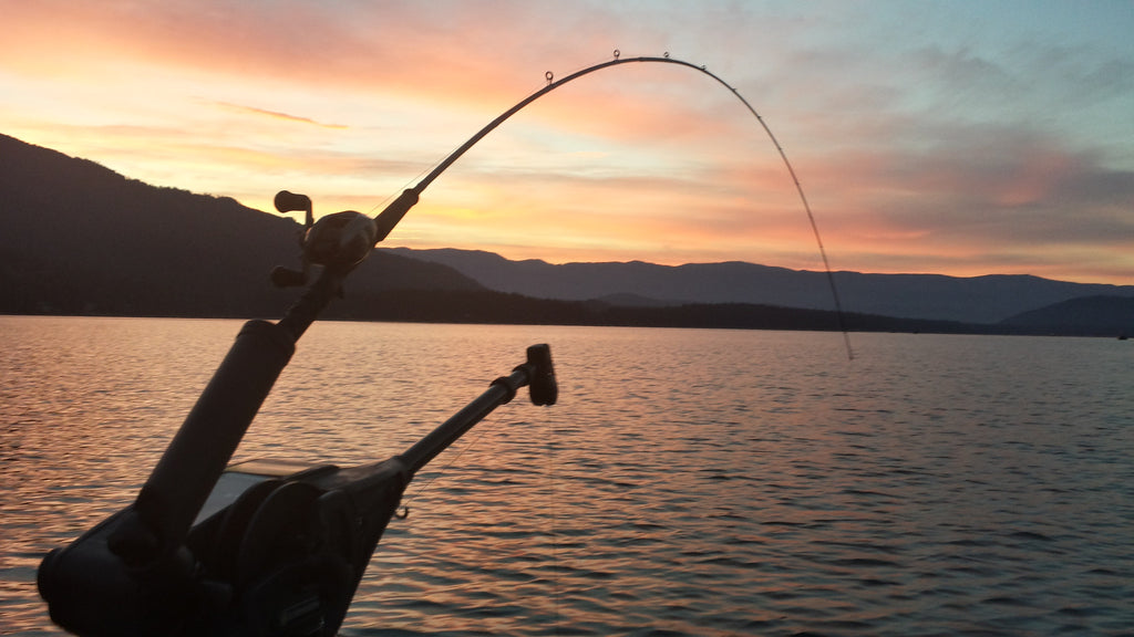 Lake Wenatchee Sockeye August 13th 2016