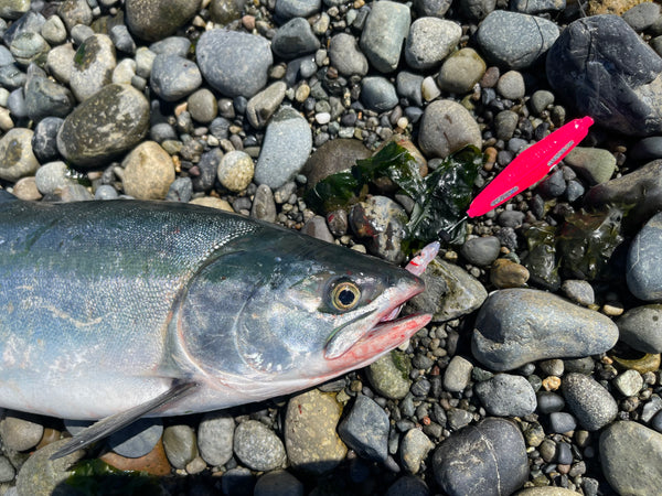 Beach Slayer Pink Salmon Kit