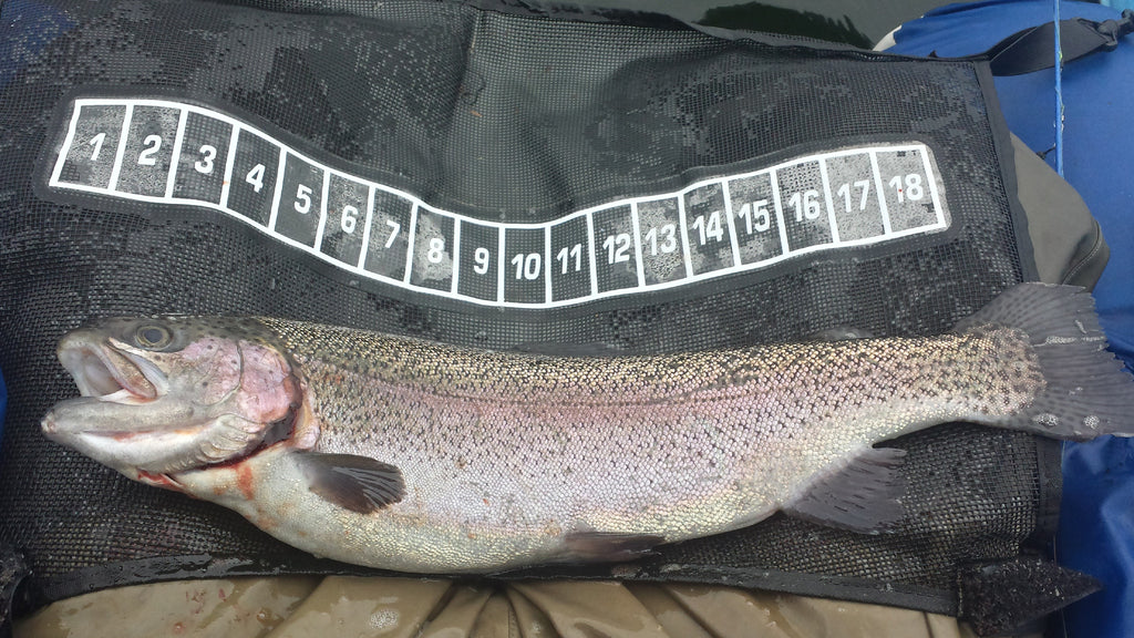 Holy Moly Weekly Report April 23rd 2016: Opening Day Trout Martha Lake
