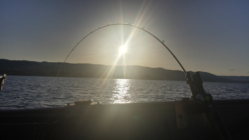 Weekly Holy Moly Report April 30th- May 2nd: Kokanee, Triploids, and Lingcod