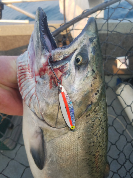 R2F Salmon Spoons