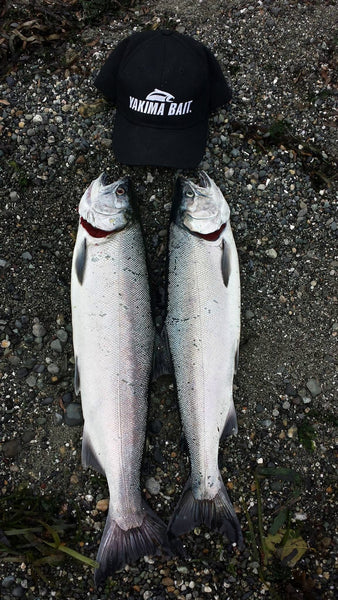 Beach Slayer Coho Kit